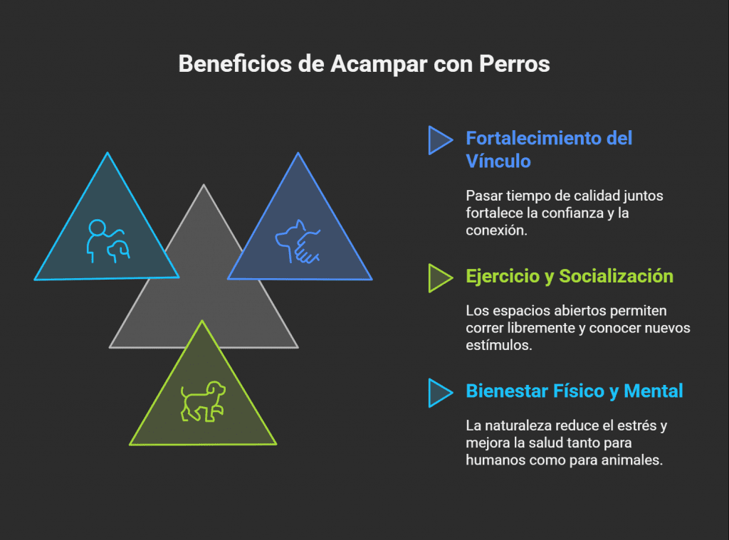cámping con perros