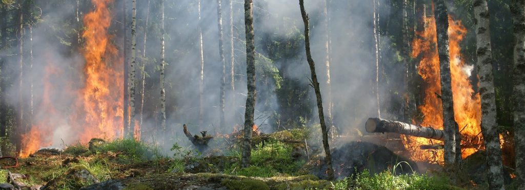 incendio